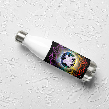 Gemini thermo-stainless steel bottle